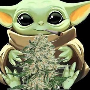 Meet your Posher, Edward